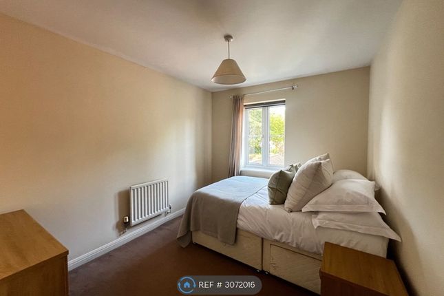 Fleming Way, St Leonards, St Leonard's Exeter photo 4