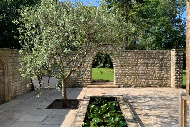 Courtyard And Pond