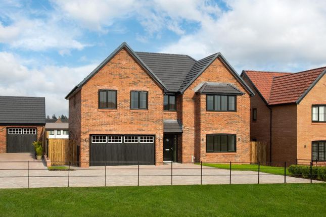 Plot 188