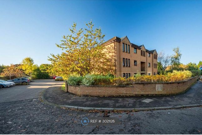 Ground, Brownside Mews Cambuslang, Glasgow photo 2