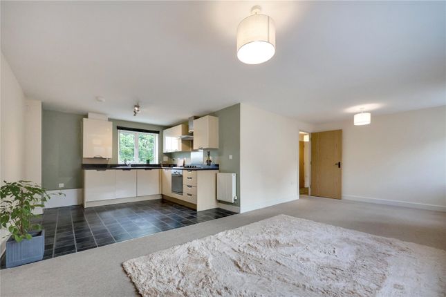 37, Sampsons Plantation, Barnstaple photo 3