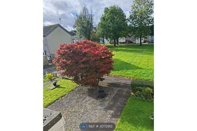 Laurel Square, Banknock photo 2