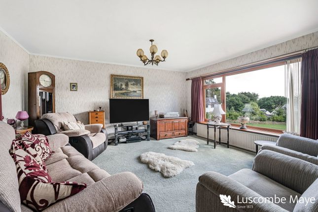 West Dene, South Brent photo 4