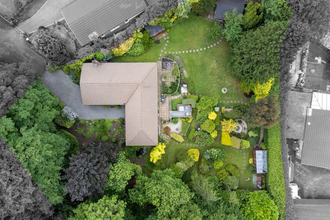 5 Willow Close-42