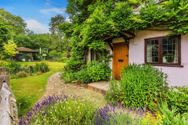 Gosling Cottage,, Goose Green, Guildford photo 3