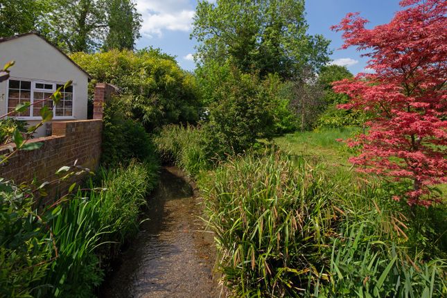 Hakka's Brook