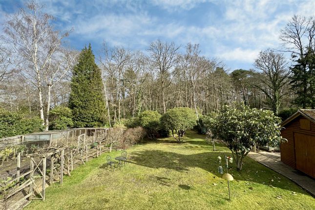Birchwood, Gasden Copse, Witley photo 2