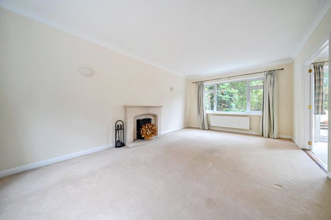 40, Hillary Road, Farnham photo 4