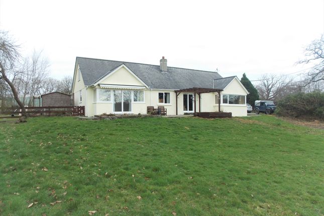 Thumbnail Detached Bungalow For Sale In St Giles On The Heath Thumbnail Detached Bungalow For Sale In St Giles On The Heath
