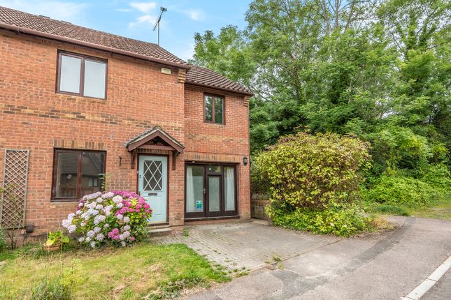 Thumbnail Semi-detached house to rent in Ivy Close, Badger Farm, Winchester