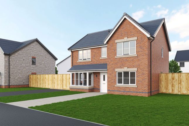 Thumbnail Detached house for sale in The Newton, Cae Sant Barrwg, Pandy Road, Bedwas