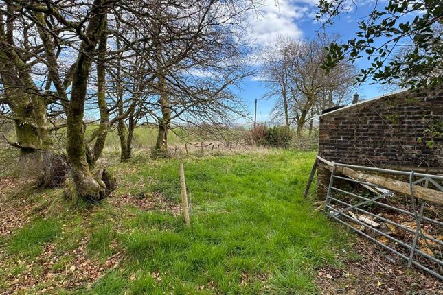 Barn at Penrhos, Tregaron photo 5