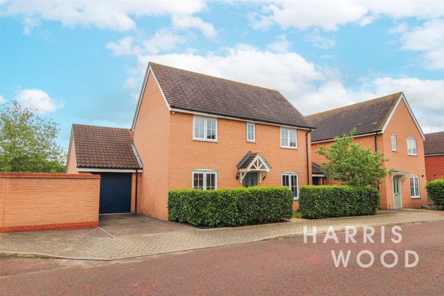Thumbnail Detached house for sale in Aggregate Walk, Colchester, Essex