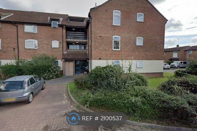 Thumbnail Flat to rent in Roundwood Road, Ipswich