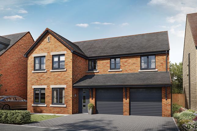 Thumbnail Detached house for sale in "The Fenchurch" at Urlay Nook Road, Eaglescliffe, Stockton-On-Tees