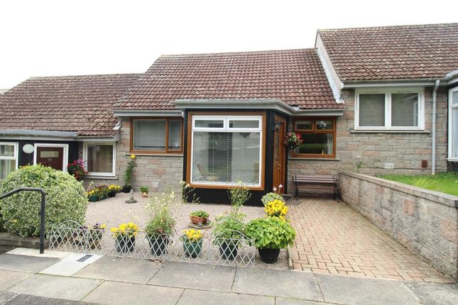Thumbnail Bungalow to rent in Ramsay Crescent, Garthdee