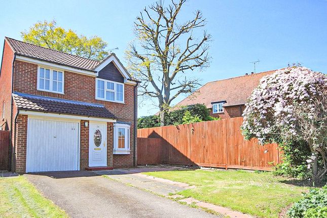 Detached house to rent in Digswell Rise, Welwyn Garden City, Hertfordshire AL8