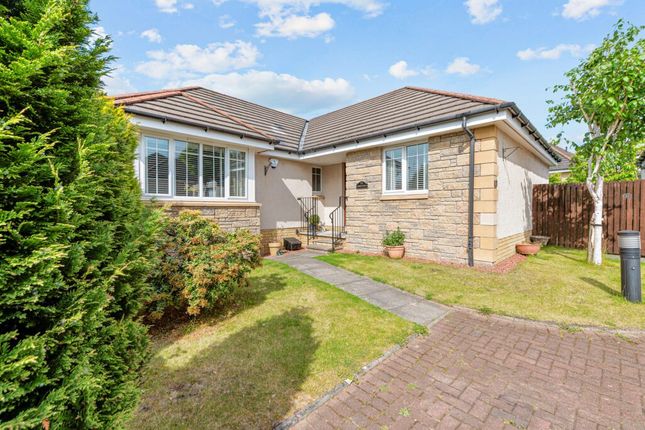 Thumbnail Detached bungalow for sale in Macalpine Court, Tullibody