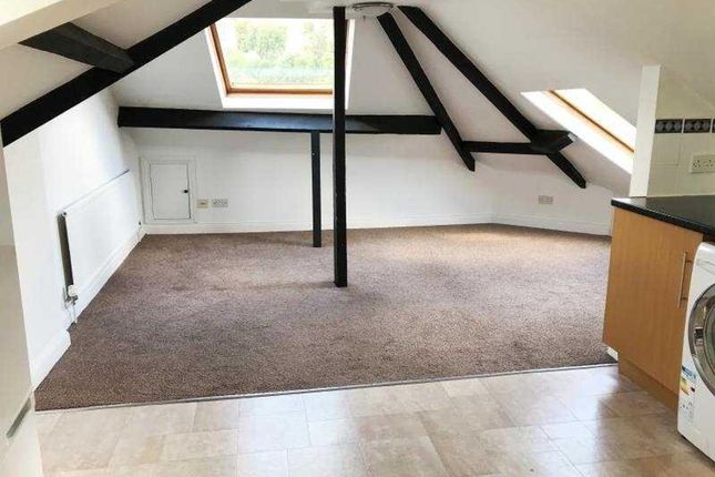 The Penthouse, Dawlish photo 2
