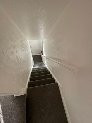 44 , Shakespeare street , Houghton  photo 5