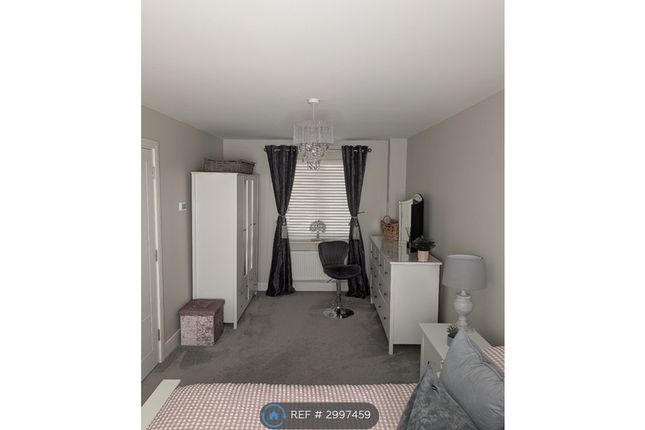 Jazz Lane, Basildon photo 5