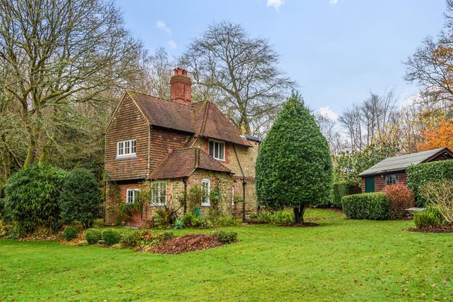 Detached house to rent in Fernden Lane, Haslemere