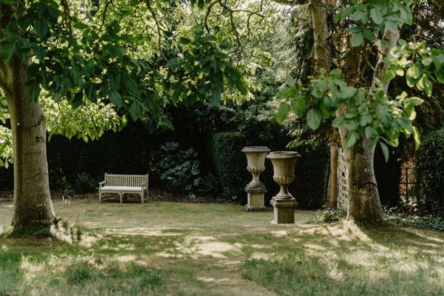 Picture 33