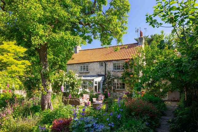 Cottage for sale in Pear Tree Cottage, Spa Lane, Boston Spa