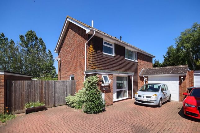 Thumbnail Detached house for sale in Wantsume Lees, Sandwich
