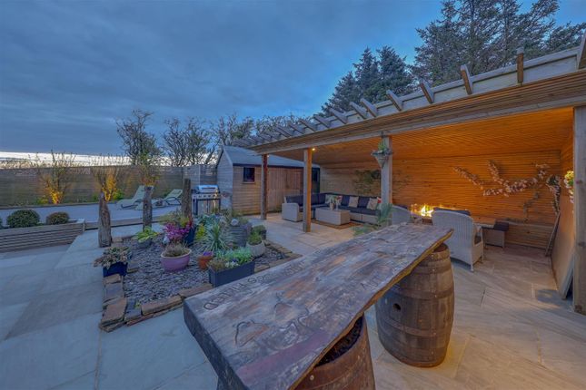 Side Garden By Night Alt