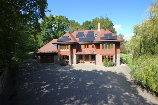 Main Photo