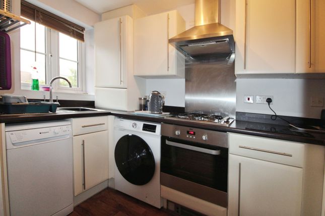 27, Foundation Way, Colchester photo 4