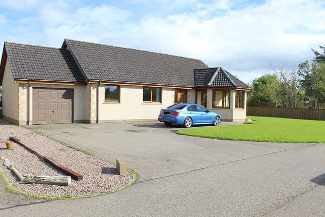 Thumbnail Bungalow for sale in 1 George Court, Halkirk
