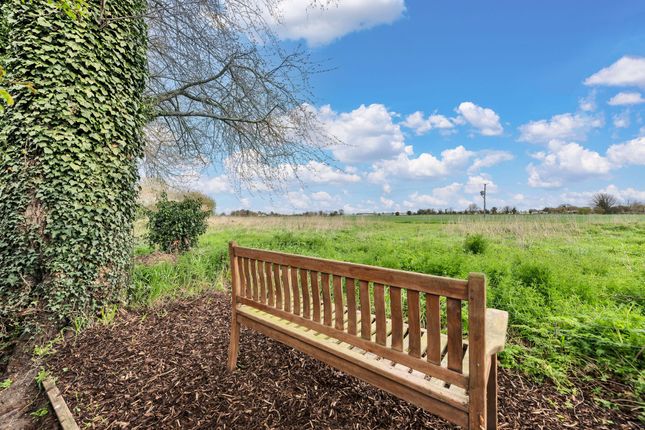 6 Grove Gardens, Ely photo 4