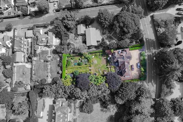 22, Great Austins, Farnham photo 3