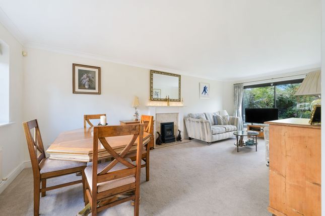 13 Ripley Way, Epsom photo 4