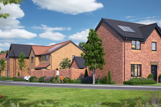 PLOT 8 Gongoozlers Walk, Sheffield photo 4