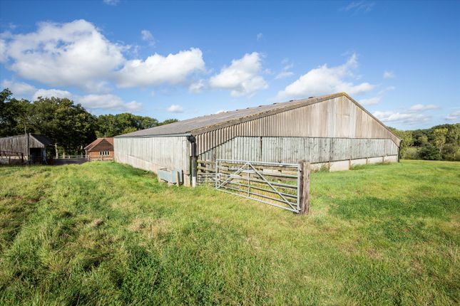 Detached house for sale in High Street Green, Chiddingfold, Godalming, Surrey GU8.