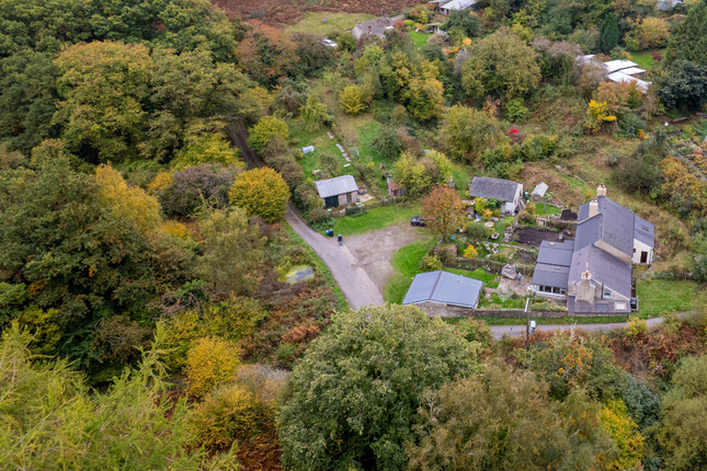 Honeysuckle Cottage, Coleford photo 2