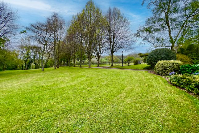 Grounds