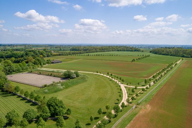 Arable Land