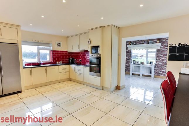 Thumbnail Country house for sale in Belview, Ballyphilip, Banogue,