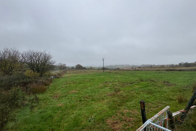 Pyllauduon, Tynreithyn, Tregaron photo 2