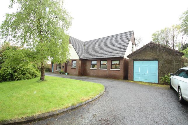 Thumbnail Detached house for sale in 11 The Beeches, Spa, Ballynahinch