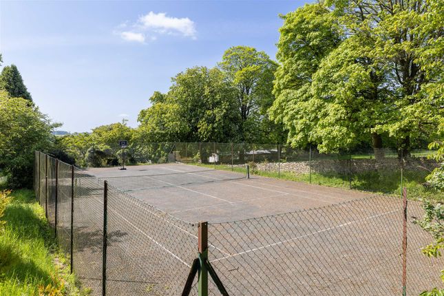 Winstoneglebe,May202-16.Jpg