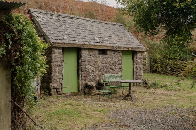 314782 - _A742123.Jpg