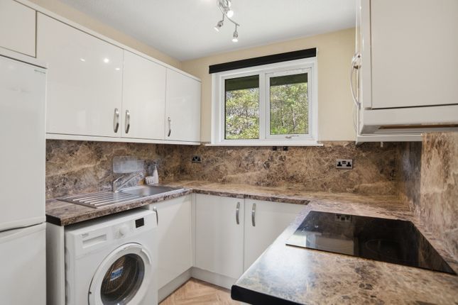 119 Wishart Drive, Stirling, Stirlingshire photo 4