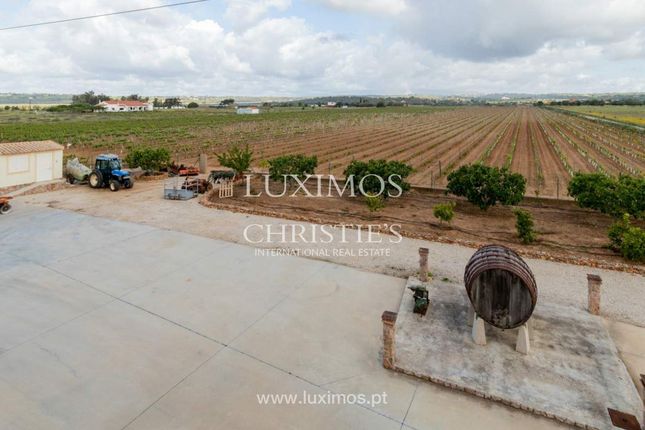Farm for sale in Silves, Portugal