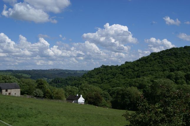 Woodside Cottage, Slaley, Matlock photo 3