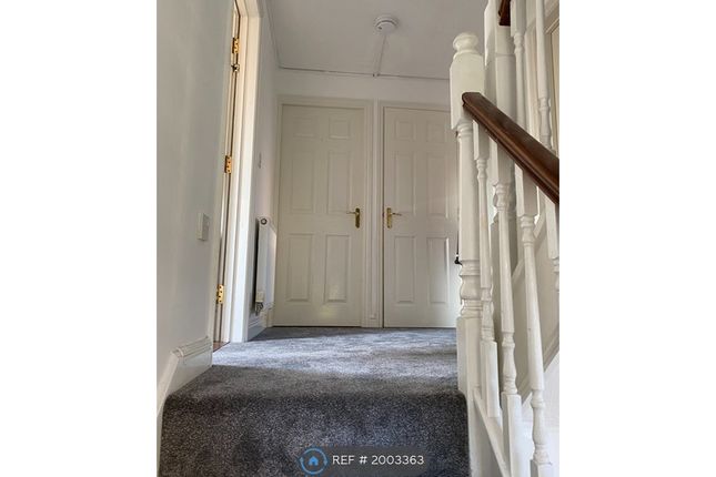 Detached house to rent in Caddow Road, Norwich
